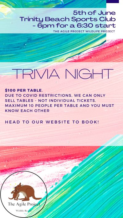 Trivia Night