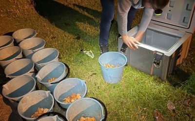 RELOCATION PROJECT UPDATE – Part 2